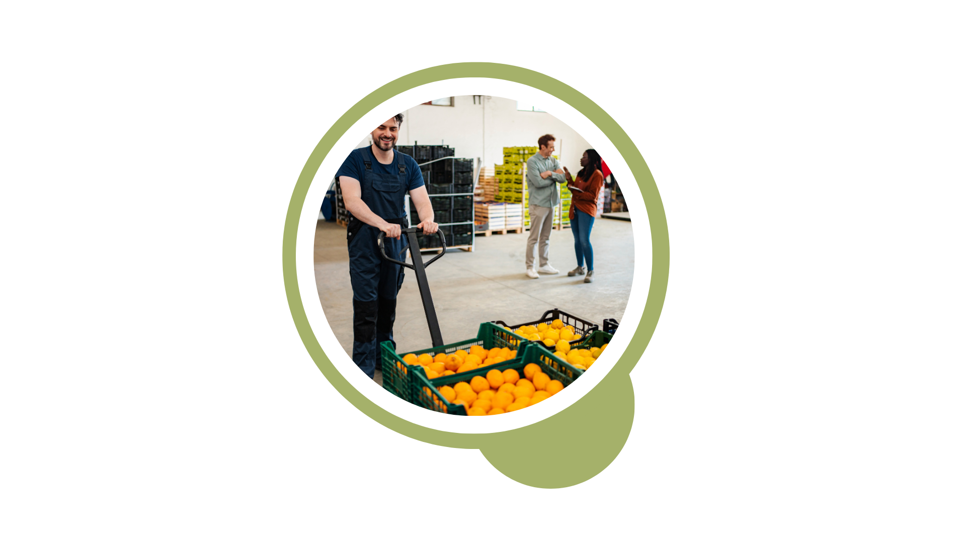 Productos hortofrutícolas